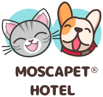 Moscapet Hotel